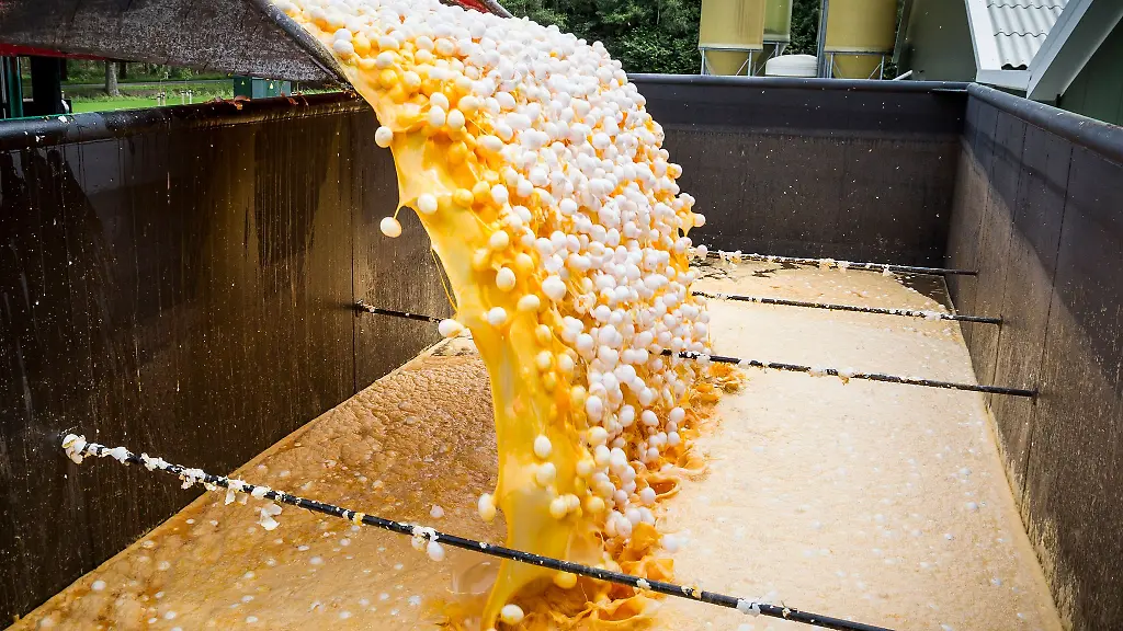 Im-Fipronil-Skandal-2017-wurden-europaweit-Millionen-Eier-vernichtet-und-aus-dem-Verkauf-zurueckgerufen
