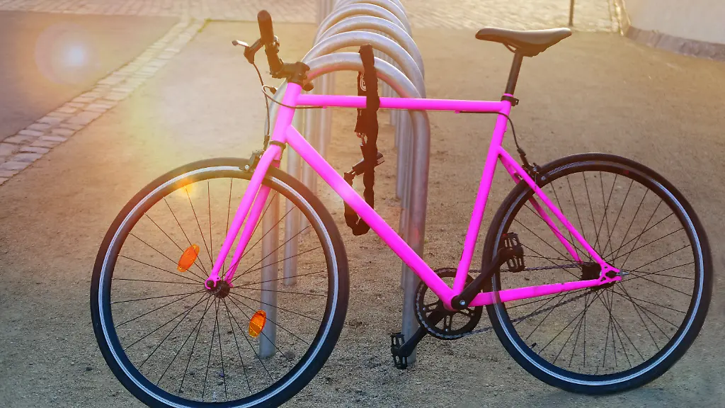 Ein-Fahrrad-sollte-stets-gut-gesichert-sein-ansonsten-haben-Langfienger-leichtes-Spiel