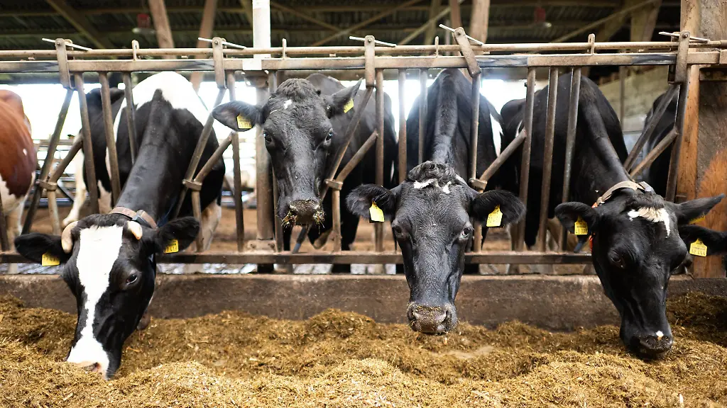 Die-Einsparungen-im-Bundeshaushalt-sollen-auch-das-Agrarressort-treffen