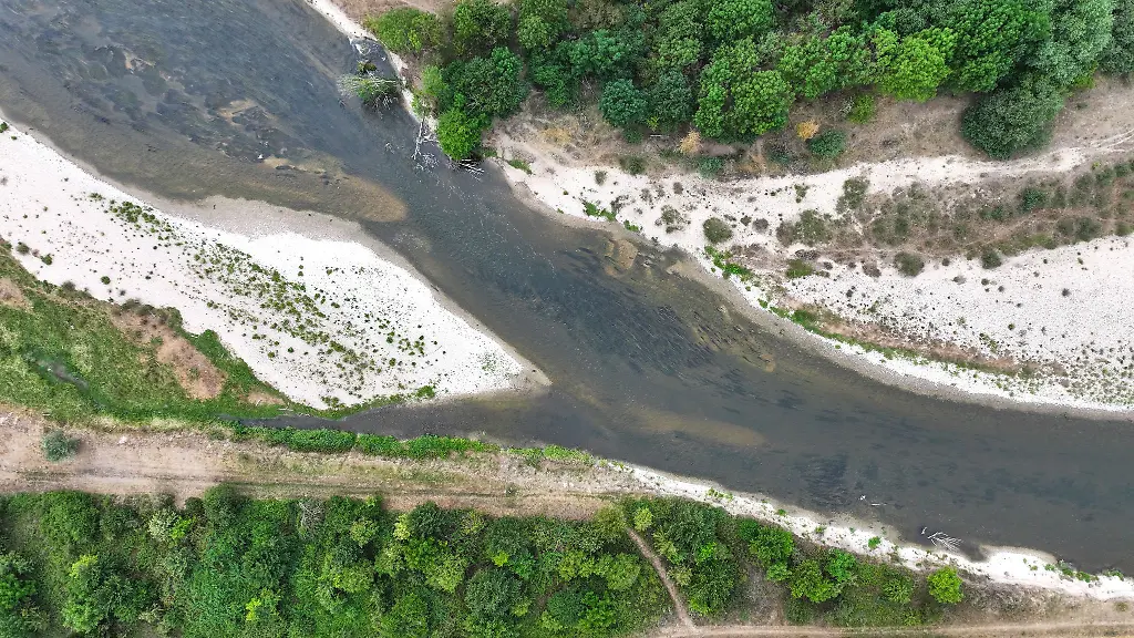 An-der-Donau-ist-das-Niedrigwasser-deutlich-zu-sehen