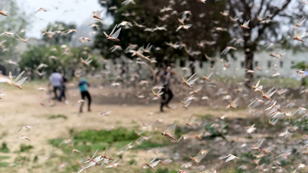 b879e42bf006b29b1358c36f8a491ccf