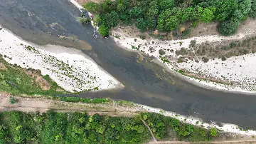 Niedrigwasser der Donau