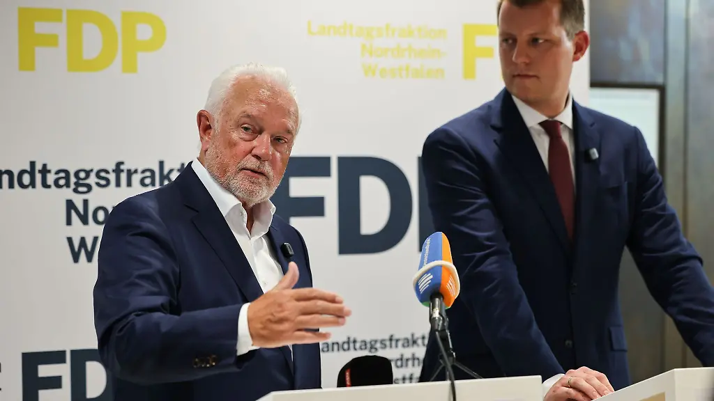 Die-FDP-will-mit-vereinten-Kraeften-an-einem-Comeback-arbeiten