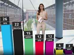 RTL/ntv-Trendbarometer: Werte festgetackert - AfD verteidigt Spitzenplatz