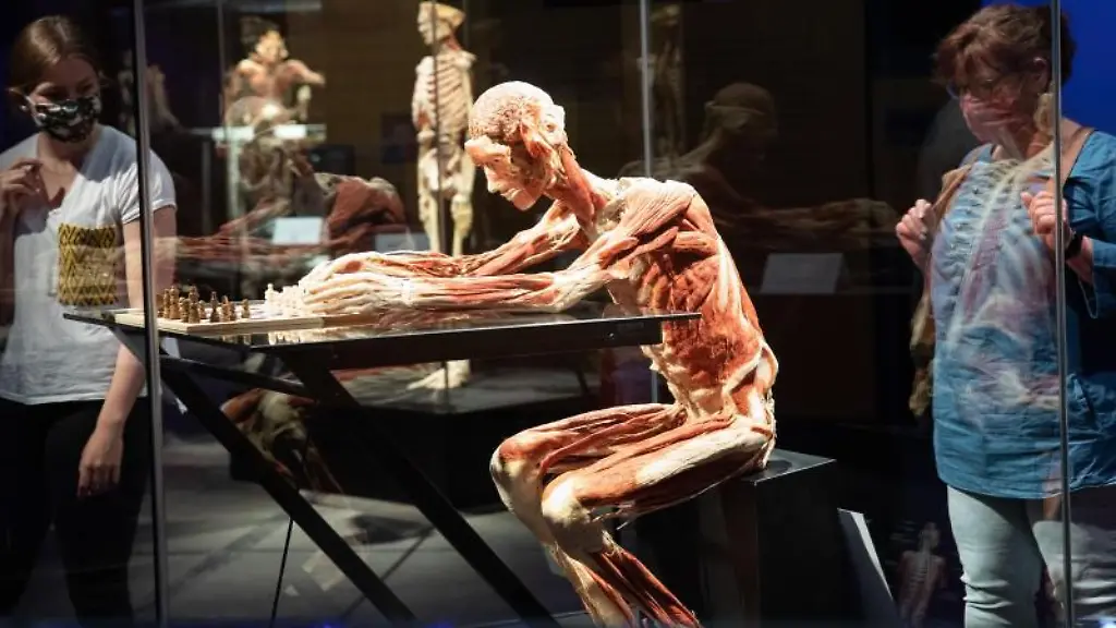 Eine-Frau-und-ihre-Tochter-betrachten-das-Plastinat-Der-Schachspieler-in-der-Ausstellung-Koerperwelten