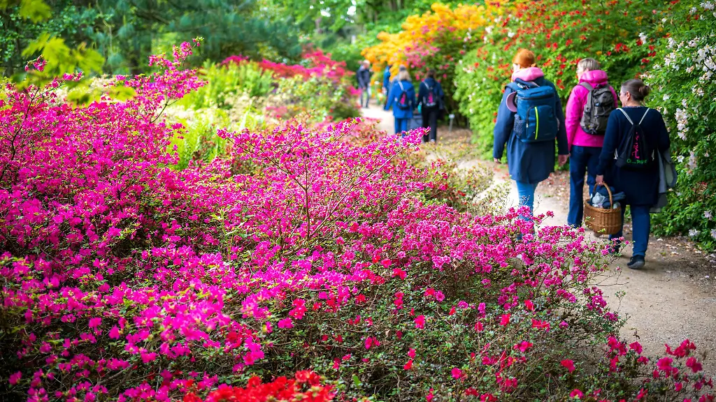 2032-soll-die-Landesgartenschau-wieder-im-Park-der-Gaerten-in-Bad-Zwischenahn-oeffnen