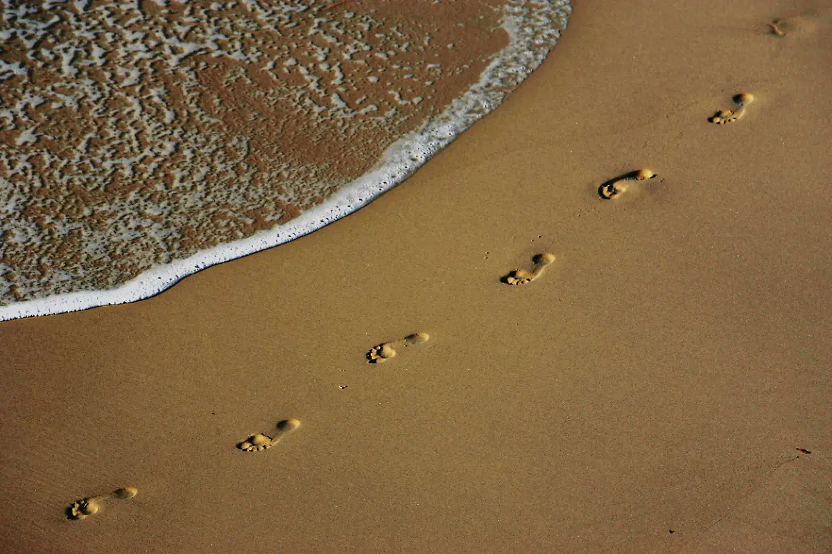 2004-10-26T000000Z-1894079861-RP5DRIAYICAA-RTRMADP-3-AUSTRALIA