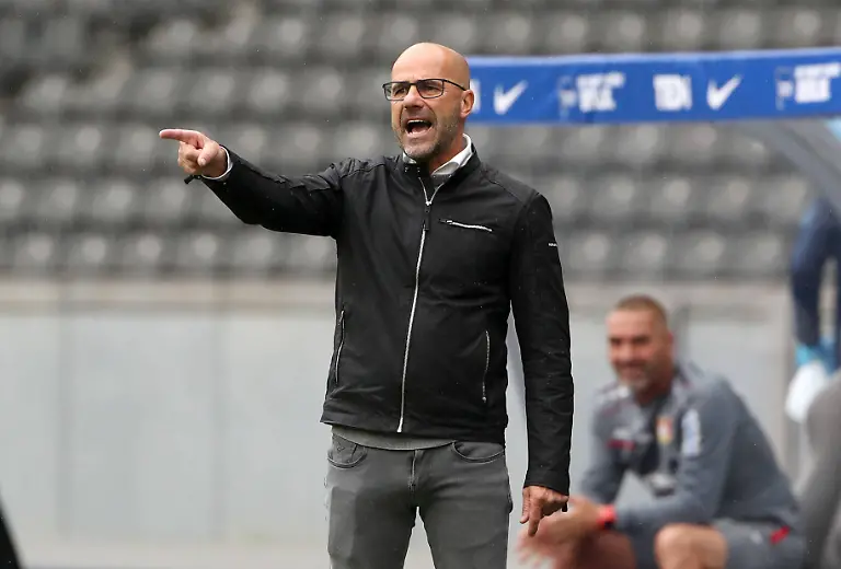 42409824286637a79207d99cf4b7efaf