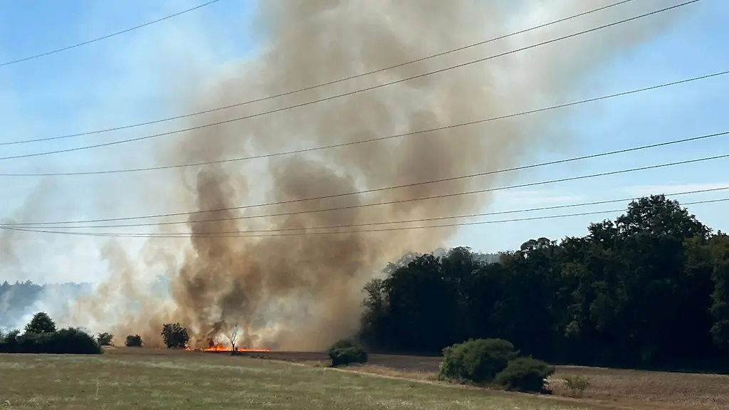 Flaechenbraende-bei-Trockenheit-beschaeftigen-die-Feuerwehr
