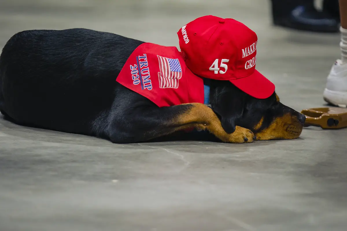 609c6da7080c2f94d82eaa9082355aab