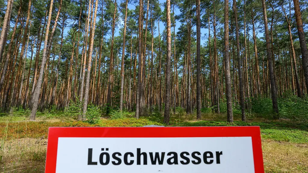 In-einigen-Regionen-in-Brandenburg-ist-die-Gefahr-vor-Waldbraenden-hoch