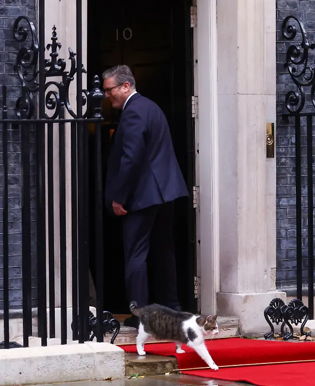 Larry-the-cat-walks-outside-10-Downing-Street-while-Ukraine-s-President-Volodymyr-Zelenskiy-and-Britain-s-Prime-Minister-Keir-Starmer-meet-in-London-Britain-October-10-2024