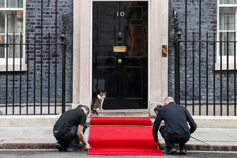 Larry-the-Cat-watches-as-workers-roll-out-a-red-carpet-for-Nigerian-President-Bola-Tinubu-outside-10-Downing-Street-in-London-Britain-March-19-2026