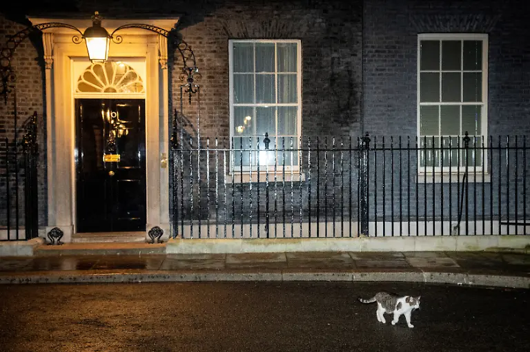 Larry-the-cat-walks-outside-10-Downing-Street-as-Danish-Prime-Minister-Mette-Frederiksen-meets-with-British-Prime-Minister-Keir-Starmer-in-London-Britain-February-4-2025-Mads-Claus-Rasmussen-Ritzau-Scanpix-via-REUTERS-ATTENTION-EDITORS-THIS-IMAGE-WAS-PROVIDED-BY-A-THIRD-PARTY-DENMARK-OUT-NO-COMMERCIAL-OR-EDITORIAL-SALES-IN-DENMARK