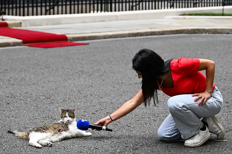 A-journalist-holds-a-microphone-to-Larry-the-Cat-on-the-day-Britain-s-Prime-Minister-Keir-Starmer-and-his-wife-Victoria-Starmer-meet-with-France-s-President-Emmanuel-Macron-and-his-wife-Brigitte-Macron-at-Downing-Street-in-London-Britain-July-9-2025-REUTERS-Chris-J