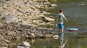 Die Kinder der Flut