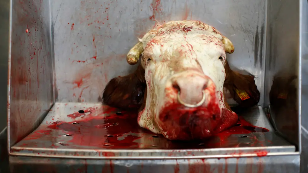 2019-02-21T150830Z-102783804-RC1698E0A090-RTRMADP-3-GERMANY-MEAT