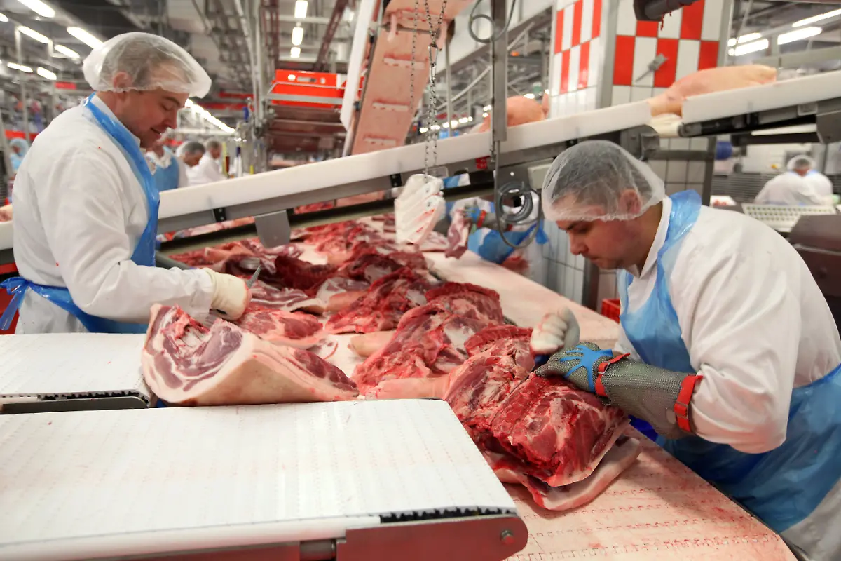 1be7d1f007750bcfa3261da98c47c248