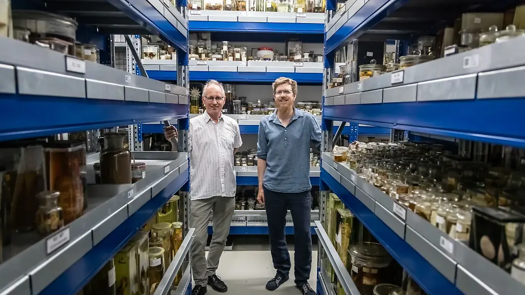 Rund-1-2-Millionen-Objekte-gehoeren-zur-Sammlung-des-Museums