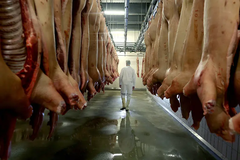 db9d5a1f1fd303462adbecee260e4f86