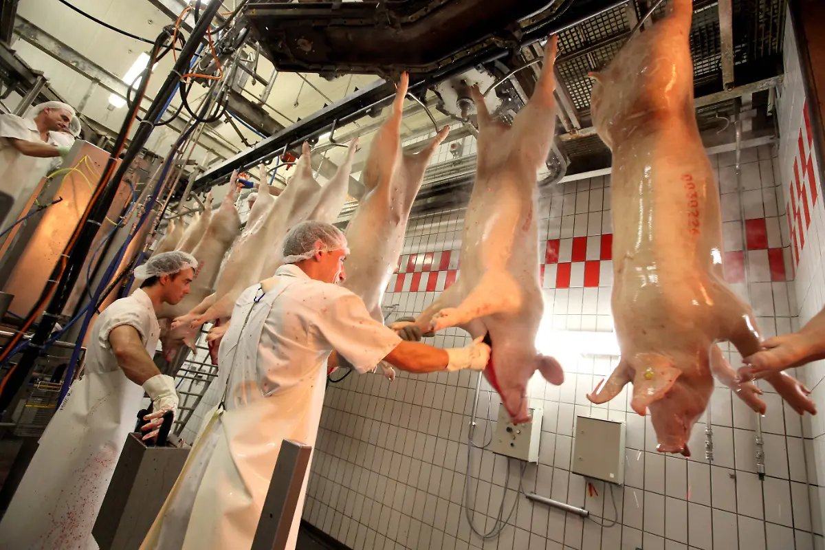 e7dda1a3d959ce8682beb2738817d678