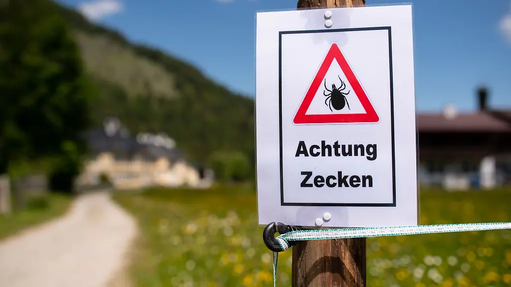 In-Thueringen-sind-13-von-23-Kreisen-als-FSME-Risikogebiete-ausgewiesen