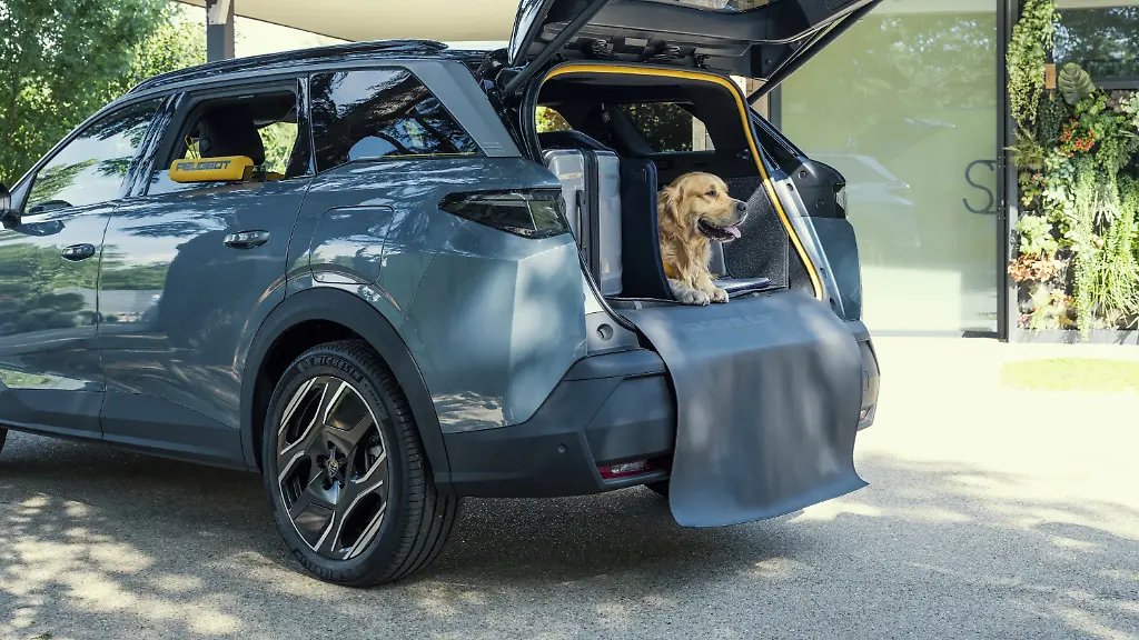 peugeot-e-5008-dog-edition-concept2