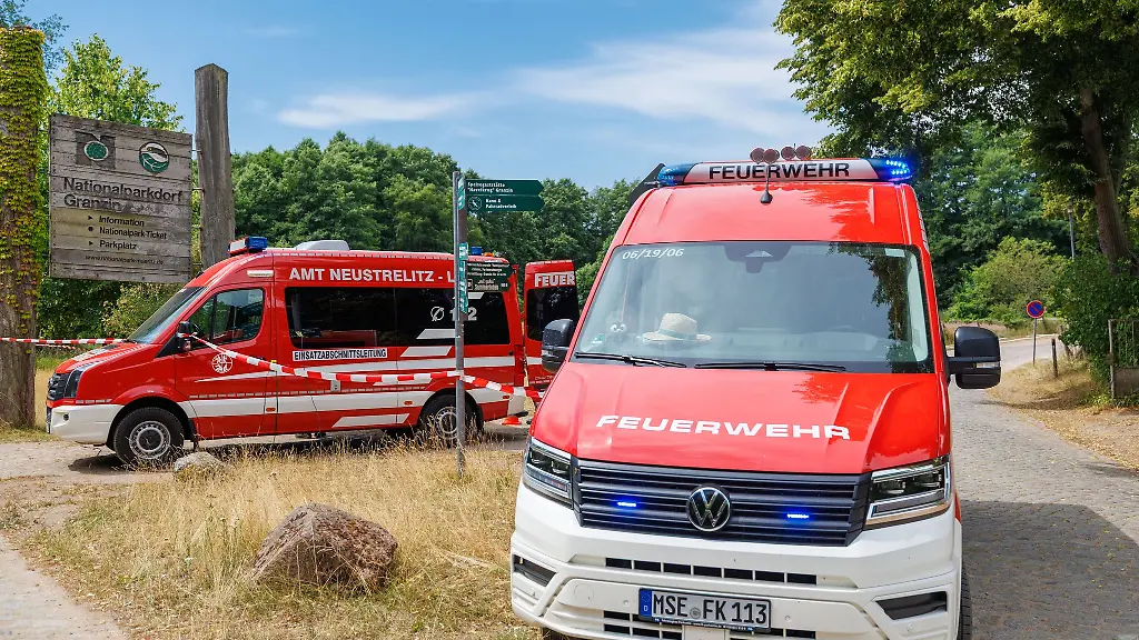 Gefaehrlich-koennen-im-Mueritz-Nationalpark-nicht-nur-wieder-aufkommende-Flammen-werden-Auch-Schlaeuche-koennen-zur-Stolperfalle-werden