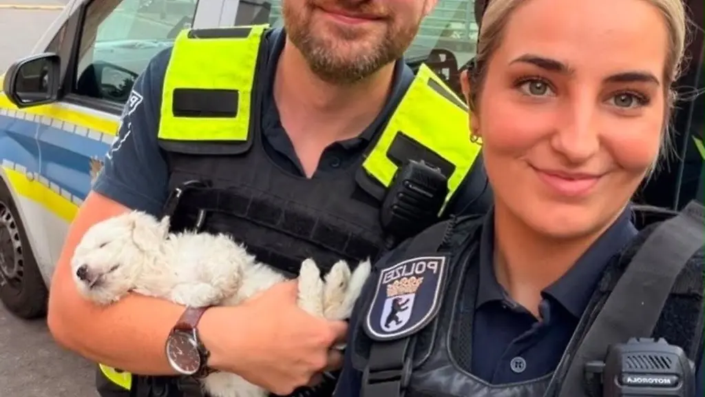Berliner-Polizisten-haben-am-Kottbusser-Tor-einen-jungen-Hund-in-Sicherheit-gebracht-der-zu-frueh-von-seiner-Mutter-getrennt-worden-ist