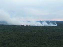 Einsatzkräfte hoffen auf Regen: Evakuierungen wegen Waldbrand im Müritz-Nationalpark