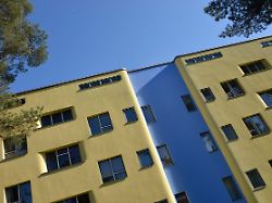 Hoffnung in Berlin: Wird die Papageiensiedlung bald Welterbe?