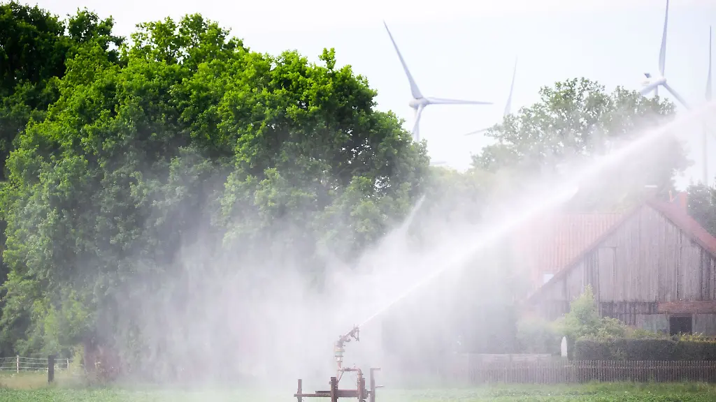 Ein-Kartoffelfeld-wird-bewaessert-doch-die-Grundwasserspiegel-sinken