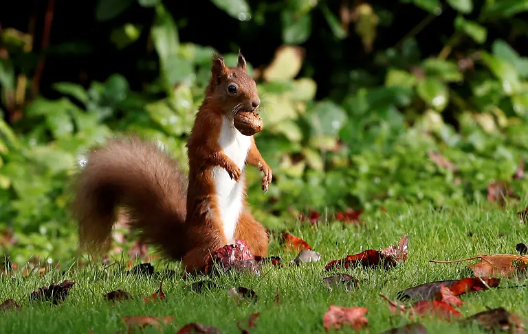 2019-10-08T000000Z-919590455-RC1257E54010-RTRMADP-3-BRITAIN-WEATHER