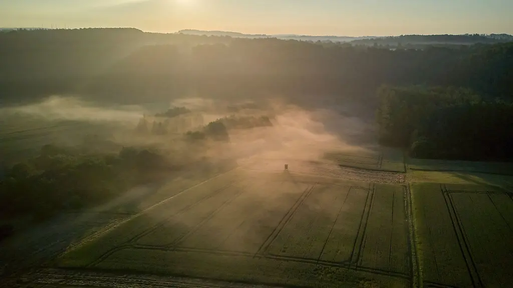 Magische-Stimmung-am-Morgen-mitten-in-der-Natur-wer-das-erleben-moechte-den-laden-Wanderwege-wie-die-kuerzlich-praemierte-Mehrtageswanderung-auf-dem-Druidensteig-im-Westerwald-ein