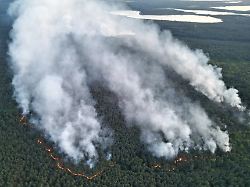 Auf munitionsbelastetem Terrain: Feuerwehr bekommt Brand im Müritz-Nationalpark nicht eingedämmt