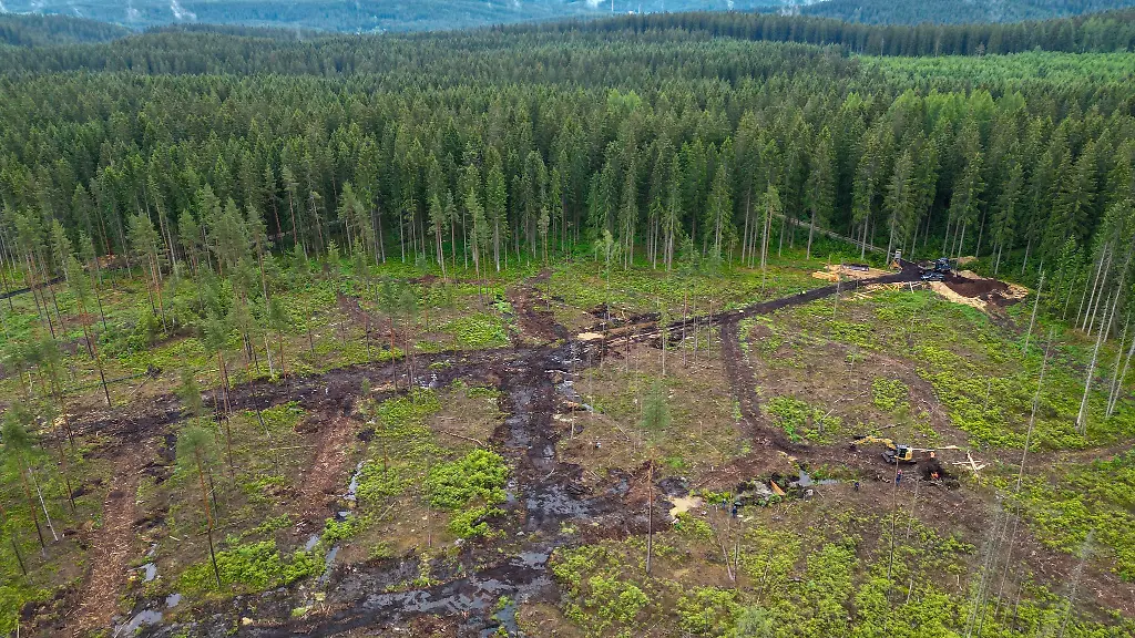 Moore-sind-in-Zeiten-des-Klimawandels-wichtig-da-sie-zur-Kuehlung-der-Natur-beitragen