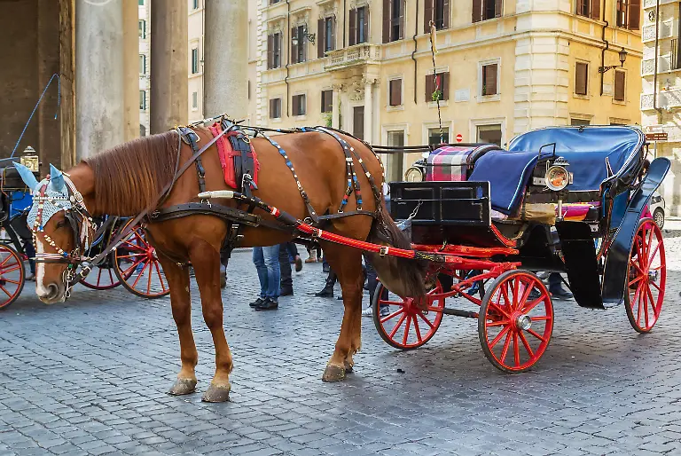 carriage-to-explore-the-city-in-Rome-Italy