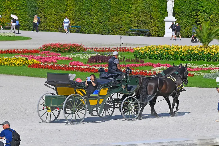 Ein-Fiaker-im-Schlosspark-Schoenbrunn-Touristen-Tourismus-Kutsche-Pferdekutsche-13-Bezirk-Hietzing-1130-Wien-Oesterreich-Sommer-warme-Jahreszeit