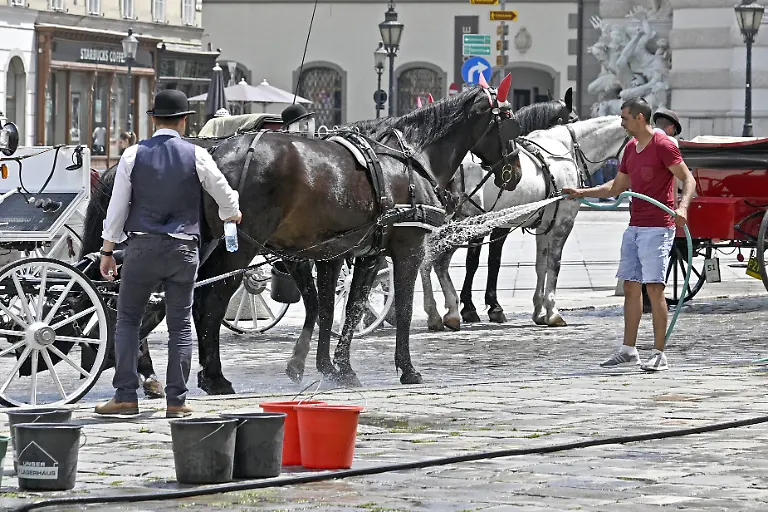 Maenner-kuehlen-die-Beine-der-Kutschpferde-mit-Wasser-Das-sommerliche-Wetter-in-der-Wiener-Innenstadt-brachte-Tageshoechsttemperaturen-um-die-30-Grad