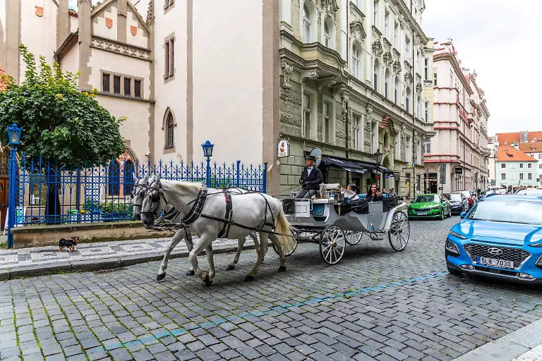 Prag-Hauptstadt-Prag-Tschechische-Republik-09-18-2022-Eine-malerische-Pferdekutsche-bietet-Touren-mit-modernen-Autos-auf-Prager-historischen-Strassen-Prague-Capital-City-of-Prague-Czech-Republic-09-18-2022-A-quaint-horse-drawn-carriage-offers-tours-alongside-modern-cars-on-Prague-historic-streets-LicenseRM-Copyright-xZoonar-com-DetlefxVoigtxinfogph-foto
