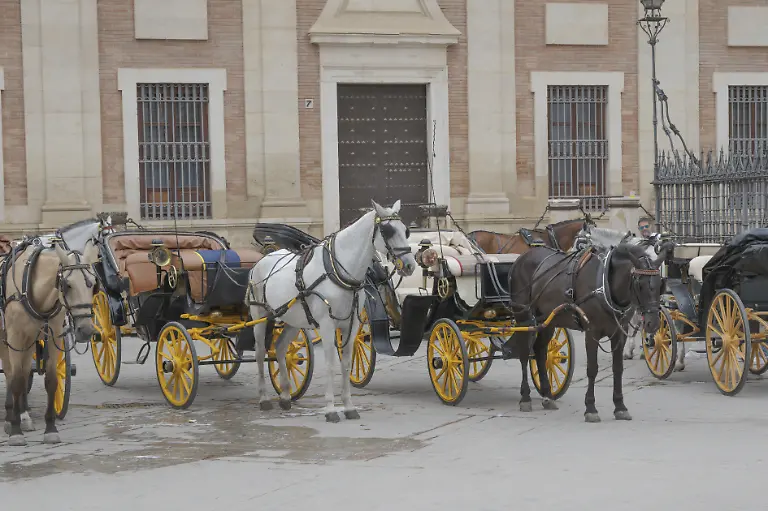 Historische-Pferdekutschen-vor-einem-alten-Gebaeude-in-einer-Altstadt-Sevilla-Andalusien-Spanien