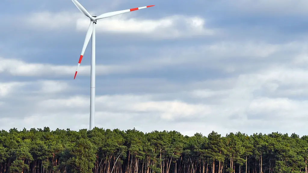 Der-Naturschutzbund-Deutschland-Nabu-in-Sachsen-lehnt-Windkraftanlagen-im-Wald-ab