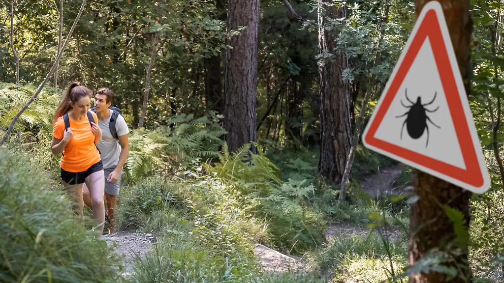 Zecken-sind-in-freier-Natur-ein-allgegenwaertiges-Risiko