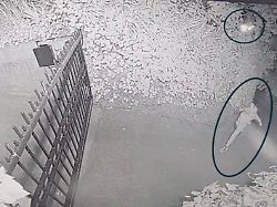 "Leute greifen zur Mistgabel": In den USA rollt die Widerstandswelle gegen KI und ihre Macher