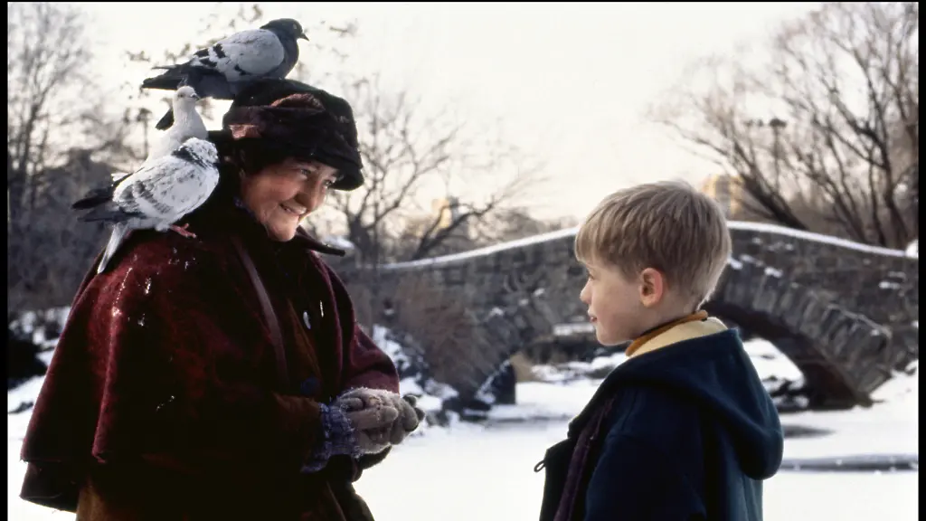 COLLECTION-CHRISTOPHEL-20th-Century-Fox-MAMAN-J-AI-ENCORE-RATE-L-AVION-HOME-ALONE-2-de-Chris-Colombus-1992-USA-avec-Brenda-Fricker-et-Macaulay-Culkin-central-park-pigeons-d-apr-es-un-scOnario-de-John-Hugues