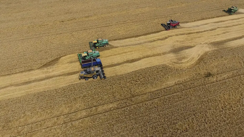 Krasnodar-Russland-22-Juli-2017-Ernte-der-Weizenerntemaschine-Landwirtschaftliche-Maschinen-ernten-Getreide-auf-dem-Feld