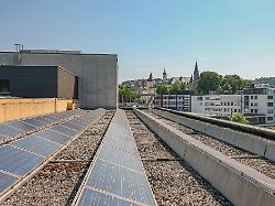 Neue Regelung bei Netzengpässen: Reiche entschärft Kürzungspläne bei Ökostrom-Förderung deutlich