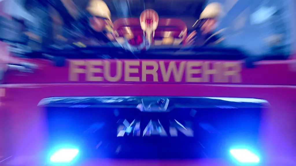 Im-Landkreis-Soemmerda-haben-Feuerwehrleute-ein-Pferd-aus-einem-Fluss-gehoben