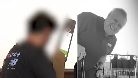 Fake Sani