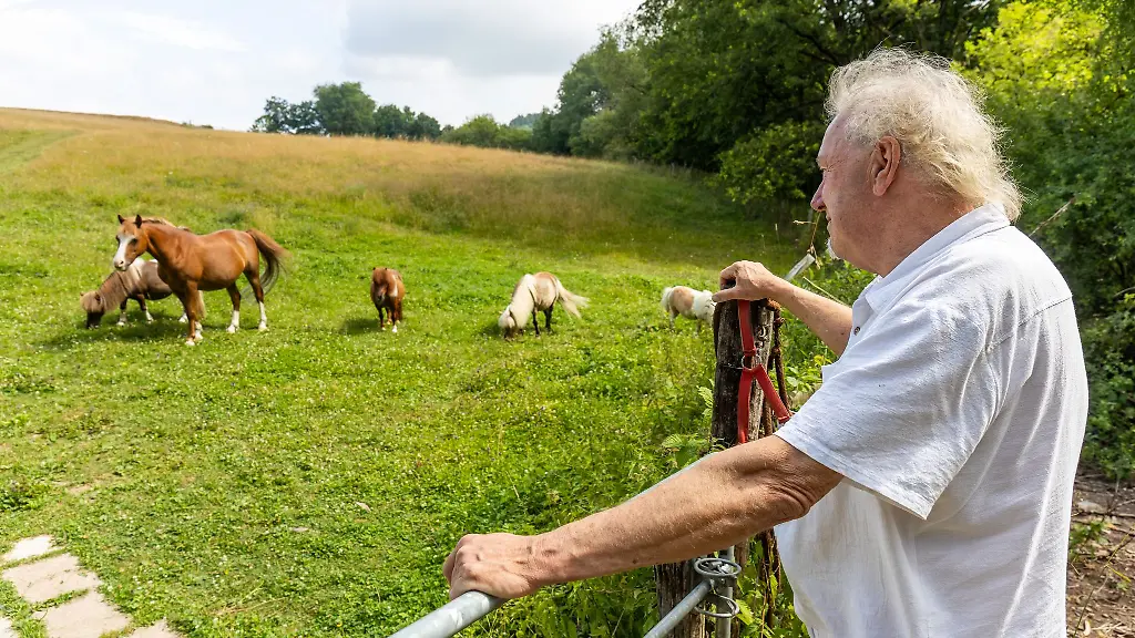 Von-dieser-Wiese-sammelte-Manfred-Koehnlein-die-neun-Schafe-ein-die-durch-Wolfsrisse-getoetet-wurden